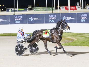 Stephen filly has connections excited